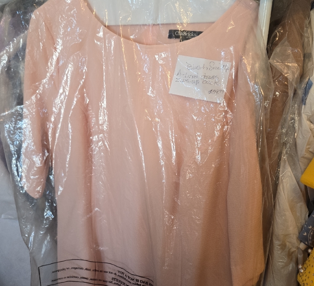 Chico's Women's Pink Top